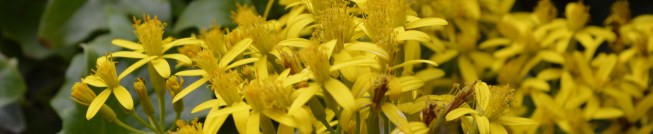 ????????????????????????????????????