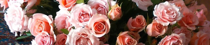 rosas chicas2