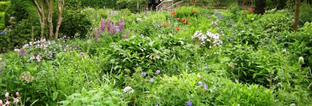 Jardin Anne Hathaway 2a