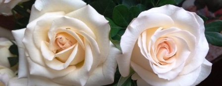 IMG_20160723_070644420-a