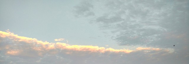 IMG_20161202_070618-2