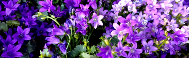 IMG_20160916_135943646FB